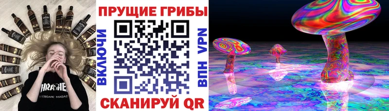 как найти наркотики  Харовск  Псилоцибиновые грибы Cubensis 